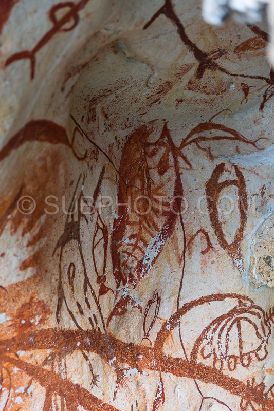 Prehistoric petroglyph rock paintings in Misool- Raja Ampat- West Papua- Indonesia by aborigines- 3-000 to 5-000 years ago