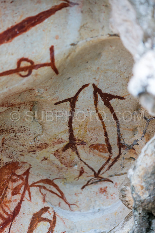 Prehistoric petroglyph rock paintings in Misool- Raja Ampat- West Papua- Indonesia by aborigines- 3-000 to 5-000 years ago