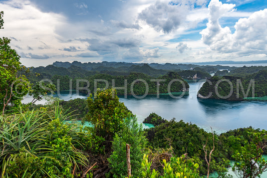 East Misool- group of small island in shallow blue lagoon water- Raja Ampat- West Papua- Indonesia