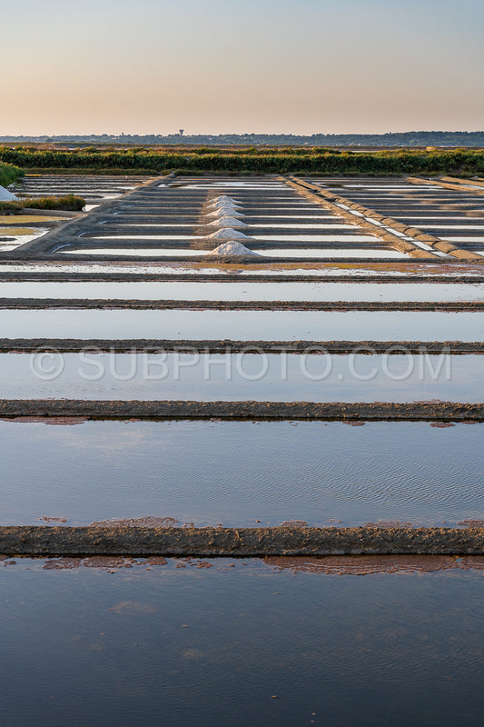 salt marsh at sunset