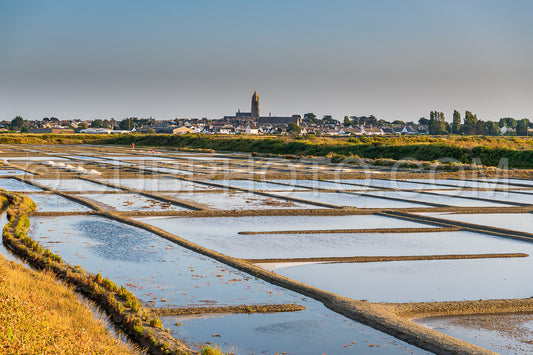 salt marsh at sunset