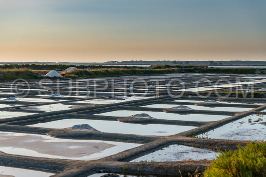 salt marsh at sunset