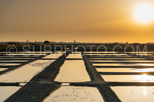 salt marsh at sunset