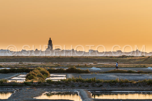 salt marsh at sunset