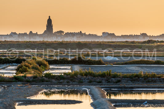 salt marsh at sunset