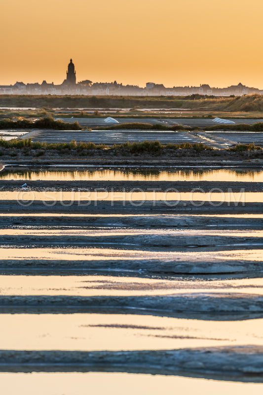 salt marsh at sunset