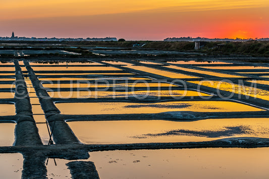 salt marsh at sunset