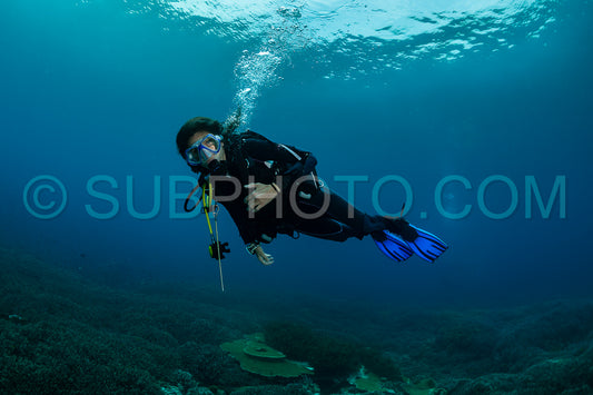 woman divng over a field of staghorn coral