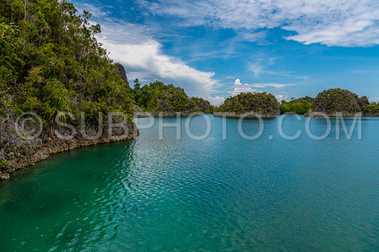 Waigeo- Kri- Mushroom Island- group of small islands in shallow blue lagoon water- Raja Ampat- West Papua- Indonesia