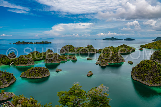 Waigeo- Kri- Mushroom Island- group of small islands in shallow blue lagoon water- Raja Ampat- West Papua- Indonesia