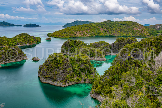 Waigeo- Kri- Mushroom Island- group of small islands in shallow blue lagoon water- Raja Ampat- West Papua- Indonesia