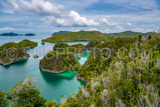 Waigeo- Kri- Mushroom Island- group of small islands in shallow blue lagoon water- Raja Ampat- West Papua- Indonesia