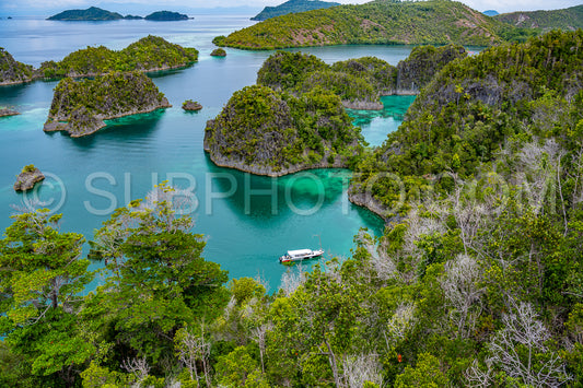Waigeo- Kri- Mushroom Island- group of small islands in shallow blue lagoon water- Raja Ampat- West Papua- Indonesia