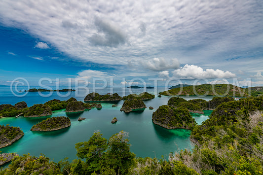 Waigeo- Kri- Mushroom Island- group of small islands in shallow blue lagoon water- Raja Ampat- West Papua- Indonesia