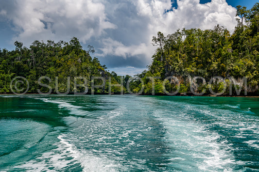 Waigeo- Kri- Mushroom Island- group of small islands in shallow blue lagoon water- Raja Ampat- West Papua- Indonesia