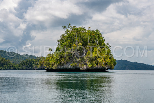 Waigeo- Kri- Mushroom Island- group of small islands in shallow blue lagoon water- Raja Ampat- West Papua- Indonesia