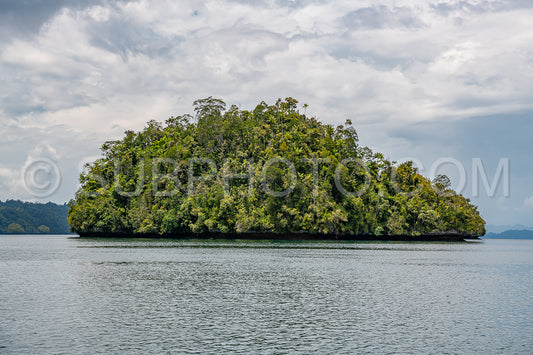 Waigeo- Kri- Mushroom Island- group of small islands in shallow blue lagoon water- Raja Ampat- West Papua- Indonesia