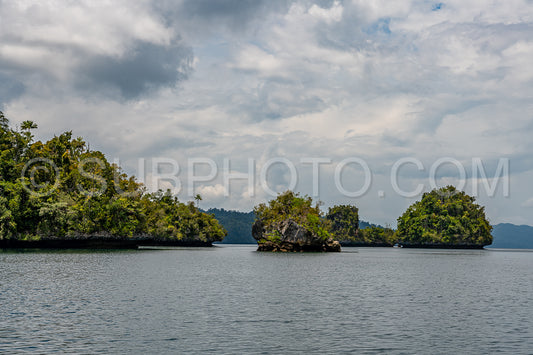 Waigeo- Kri- Mushroom Island- group of small islands in shallow blue lagoon water- Raja Ampat- West Papua- Indonesia