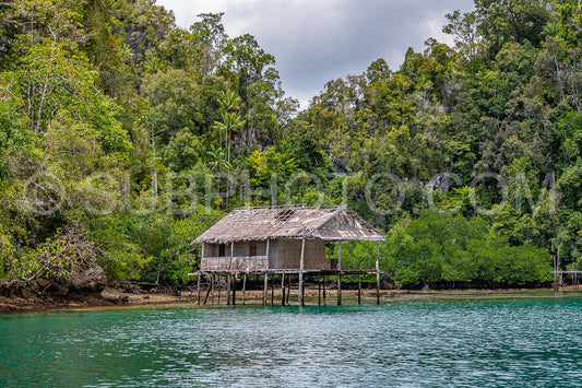Waigeo- Kri- Mushroom Island- group of small islands in shallow blue lagoon water- Raja Ampat- West Papua- Indonesia