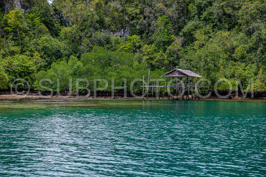 Waigeo- Kri- Mushroom Island- group of small islands in shallow blue lagoon water- Raja Ampat- West Papua- Indonesia