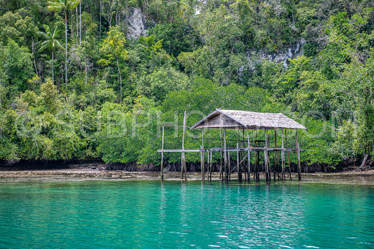 Waigeo- Kri- Mushroom Island- group of small islands in shallow blue lagoon water- Raja Ampat- West Papua- Indonesia
