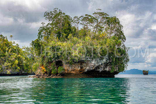Waigeo- Kri- Mushroom Island- group of small islands in shallow blue lagoon water- Raja Ampat- West Papua- Indonesia
