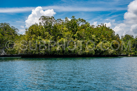 Waigeo- Kri- Mushroom Island- group of small islands in shallow blue lagoon water- Raja Ampat- West Papua- Indonesia