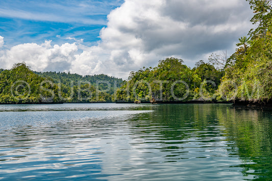 Waigeo- Kri- Mushroom Island- group of small islands in shallow blue lagoon water- Raja Ampat- West Papua- Indonesia