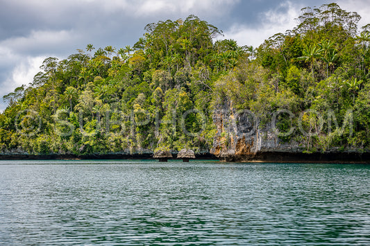 Waigeo- Kri- Mushroom Island- group of small islands in shallow blue lagoon water- Raja Ampat- West Papua- Indonesia