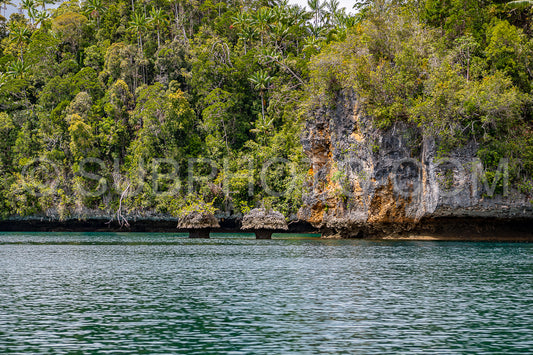 Waigeo- Kri- Mushroom Island- group of small islands in shallow blue lagoon water- Raja Ampat- West Papua- Indonesia