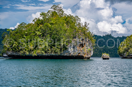 Waigeo- Kri- Mushroom Island- group of small islands in shallow blue lagoon water- Raja Ampat- West Papua- Indonesia