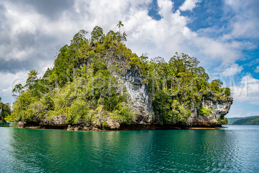 Waigeo- Kri- Mushroom Island- group of small islands in shallow blue lagoon water- Raja Ampat- West Papua- Indonesia