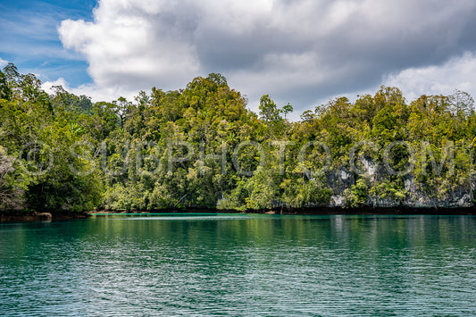 Waigeo- Kri- Mushroom Island- group of small islands in shallow blue lagoon water- Raja Ampat- West Papua- Indonesia