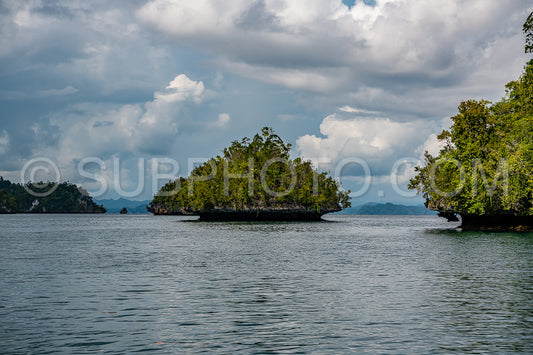 Waigeo- Kri- Mushroom Island- group of small islands in shallow blue lagoon water- Raja Ampat- West Papua- Indonesia