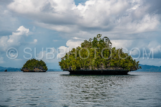 Waigeo- Kri- Mushroom Island- group of small islands in shallow blue lagoon water- Raja Ampat- West Papua- Indonesia