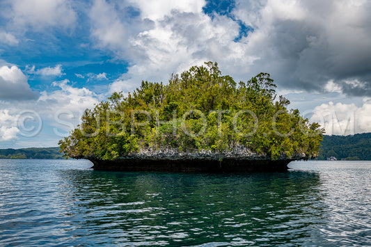 Waigeo- Kri- Mushroom Island- group of small islands in shallow blue lagoon water- Raja Ampat- West Papua- Indonesia