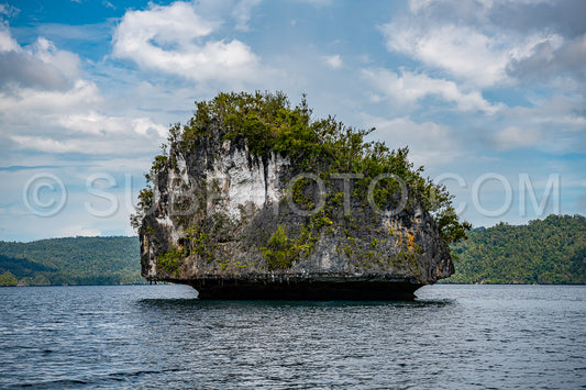 Waigeo- Kri- Mushroom Island- group of small islands in shallow blue lagoon water- Raja Ampat- West Papua- Indonesia