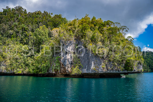 Waigeo- Kri- Mushroom Island- group of small islands in shallow blue lagoon water- Raja Ampat- West Papua- Indonesia