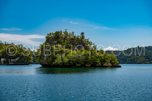 Waigeo- Kri- Mushroom Island- group of small islands in shallow blue lagoon water- Raja Ampat- West Papua- Indonesia