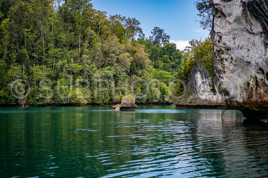 Waigeo- Kri- Mushroom Island- group of small islands in shallow blue lagoon water- Raja Ampat- West Papua- Indonesia