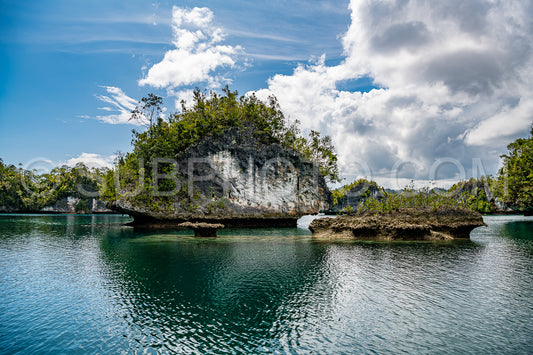 Waigeo- Kri- Mushroom Island- group of small islands in shallow blue lagoon water- Raja Ampat- West Papua- Indonesia