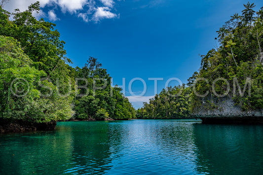 Waigeo- Kri- Mushroom Island- group of small islands in shallow blue lagoon water- Raja Ampat- West Papua- Indonesia