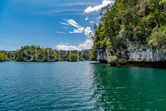 Photo de Waigeo- Kri- Mushroom Island- groupe de petites îles dans un lagon bleu peu profond- Raja Ampat- Papouasie occidentale- Indonésie