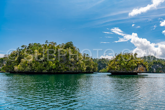 Photo de Waigeo- Kri- Mushroom Island- groupe de petites îles dans un lagon bleu peu profond- Raja Ampat- Papouasie occidentale- Indonésie