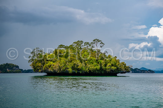Photo de Waigeo- Kri- Mushroom Island- groupe de petites îles dans un lagon bleu peu profond- Raja Ampat- Papouasie occidentale- Indonésie