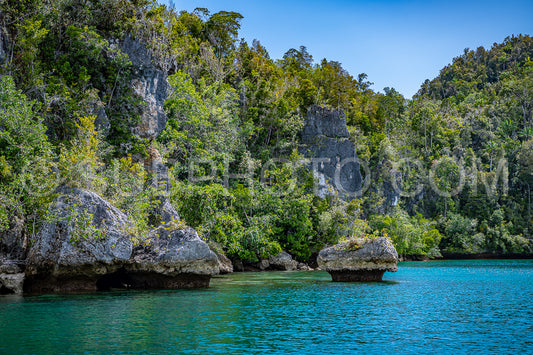 Photo de Waigeo- Kri- Mushroom Island- groupe de petites îles dans un lagon bleu peu profond- Raja Ampat- Papouasie occidentale- Indonésie