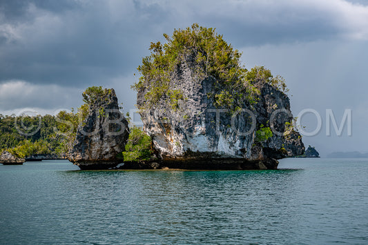 Photo de Waigeo- Kri- Mushroom Island- groupe de petites îles dans un lagon bleu peu profond- Raja Ampat- Papouasie occidentale- Indonésie