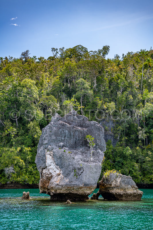 Photo de Waigeo- Kri- Mushroom Island- groupe de petites îles dans un lagon bleu peu profond- Raja Ampat- Papouasie occidentale- Indonésie