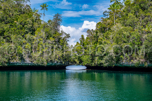 Photo de Waigeo- Kri- Mushroom Island- groupe de petites îles dans un lagon bleu peu profond- Raja Ampat- Papouasie occidentale- Indonésie