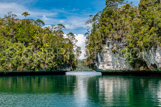 Photo de Waigeo- Kri- Mushroom Island- groupe de petites îles dans un lagon bleu peu profond- Raja Ampat- Papouasie occidentale- Indonésie